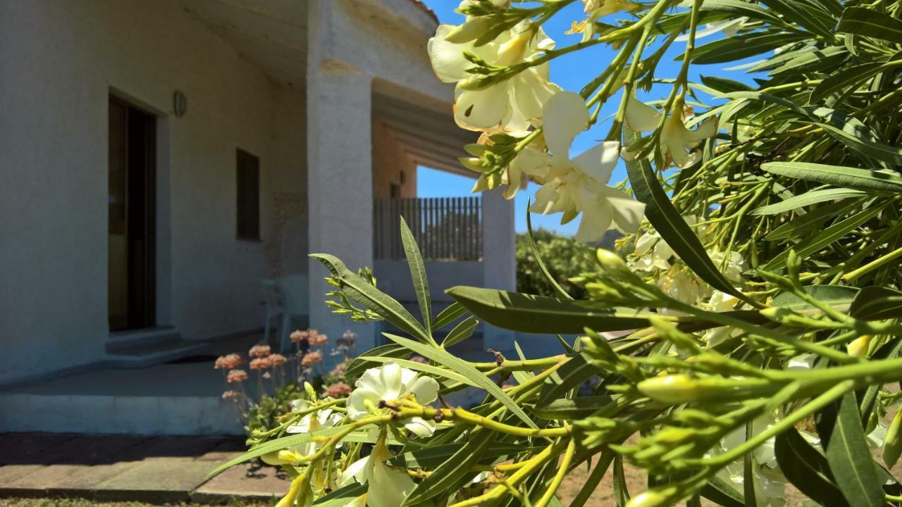 Villa Singola วัลเลดอเรีย ภายนอก รูปภาพ
